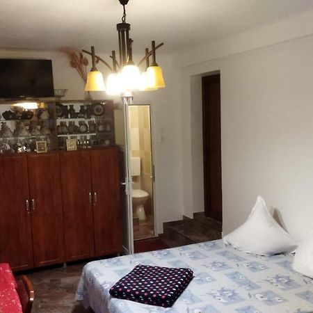 فيلا Casa Din Gradina إيفوري سود المظهر الخارجي الصورة