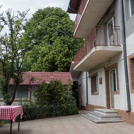 فيلا Casa Din Gradina إيفوري سود المظهر الخارجي الصورة