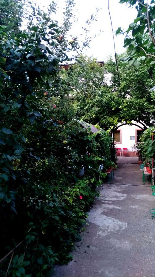 فيلا Casa Din Gradina إيفوري سود المظهر الخارجي الصورة
