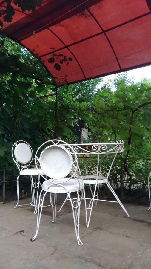 فيلا Casa Din Gradina إيفوري سود المظهر الخارجي الصورة