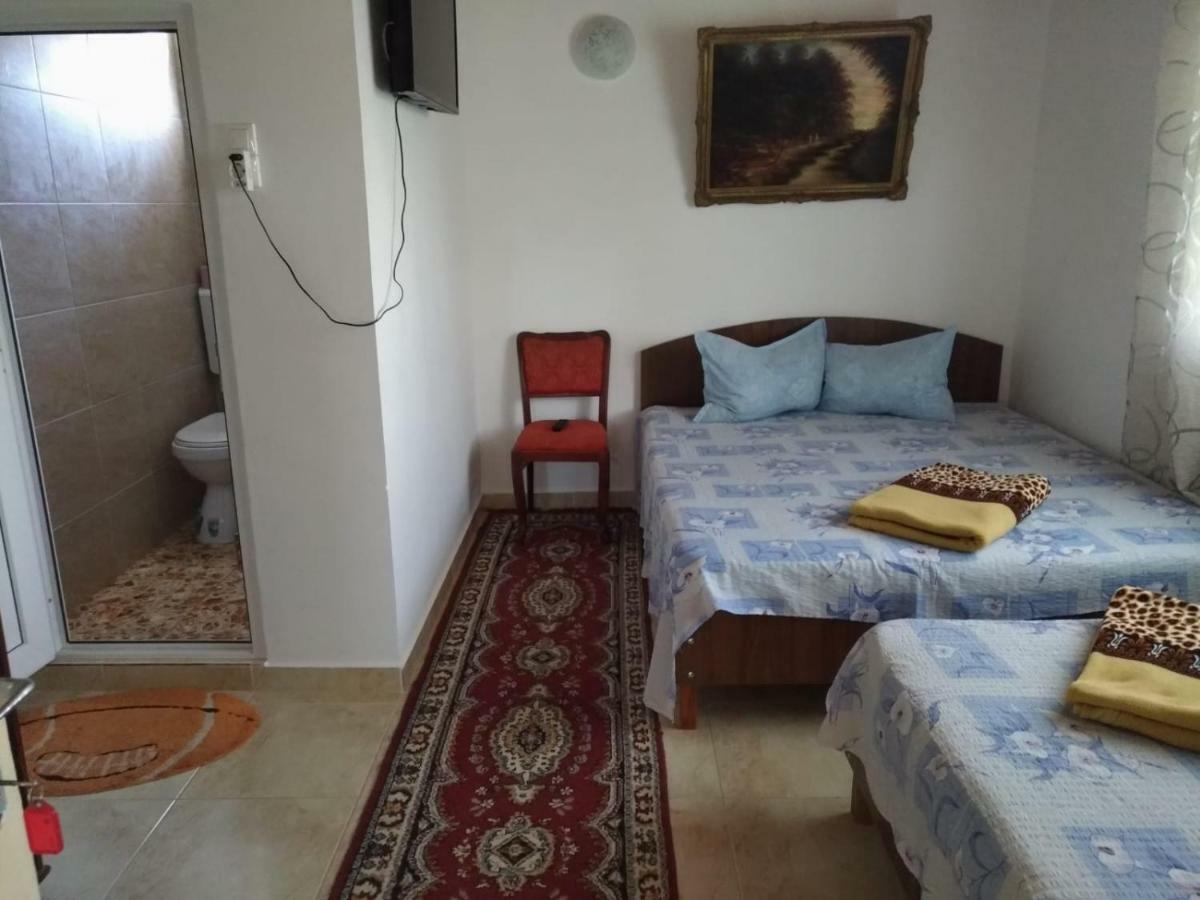 فيلا Casa Din Gradina إيفوري سود المظهر الخارجي الصورة