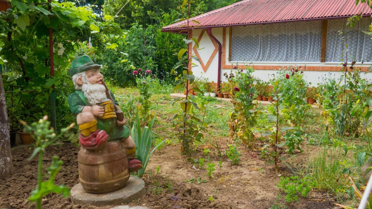 فيلا Casa Din Gradina إيفوري سود المظهر الخارجي الصورة
