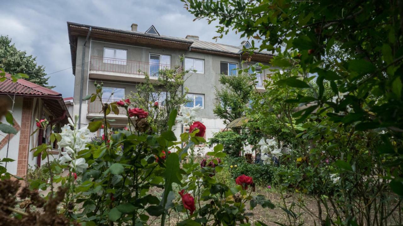 فيلا Casa Din Gradina إيفوري سود المظهر الخارجي الصورة