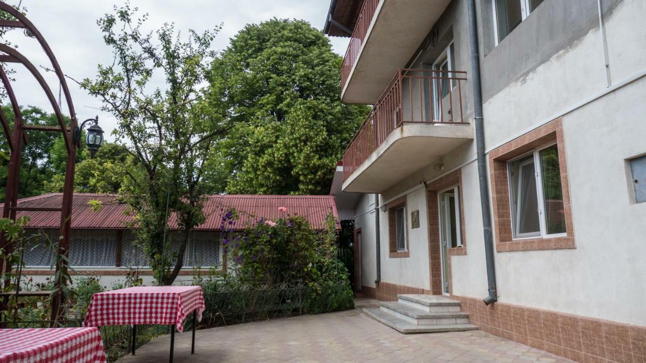 فيلا Casa Din Gradina إيفوري سود المظهر الخارجي الصورة