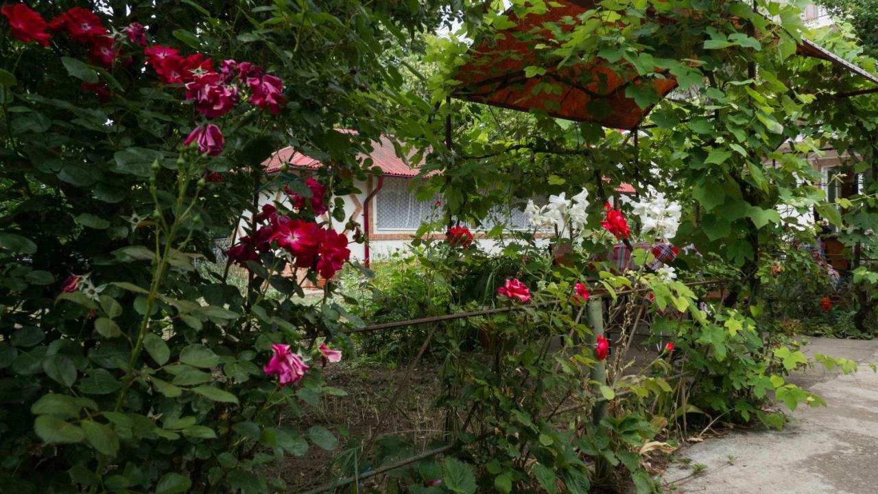 فيلا Casa Din Gradina إيفوري سود المظهر الخارجي الصورة