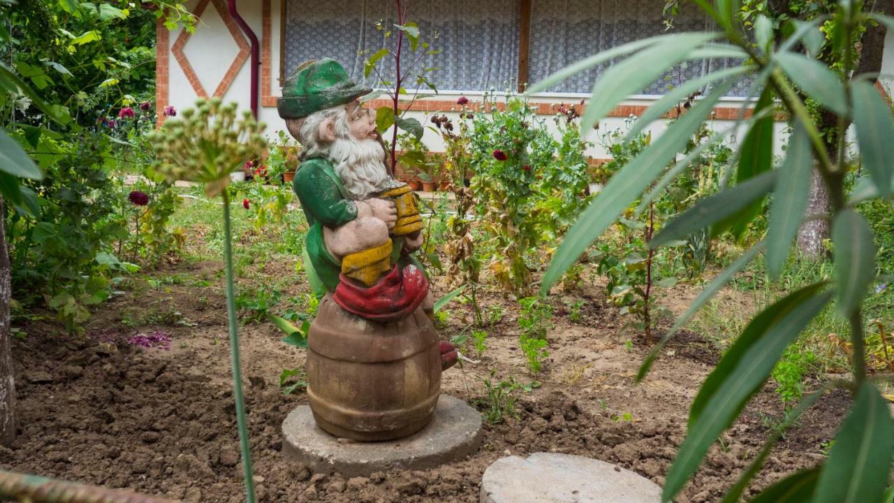 فيلا Casa Din Gradina إيفوري سود المظهر الخارجي الصورة