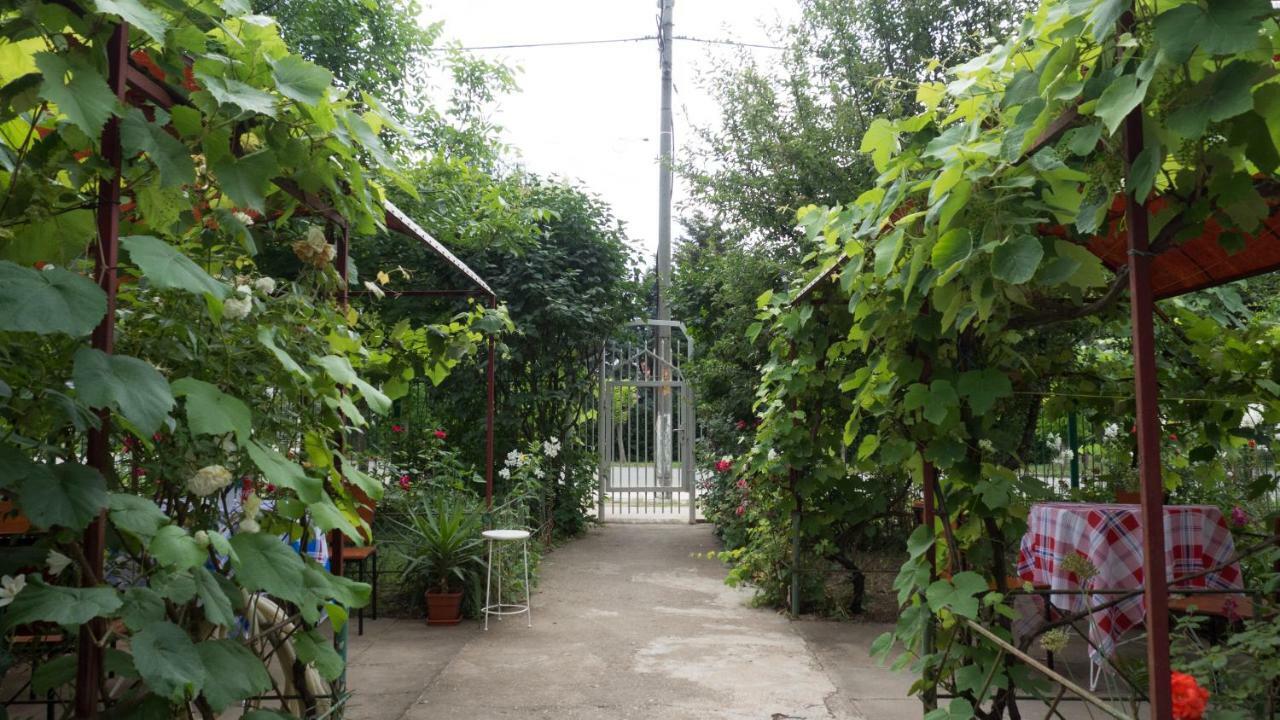 فيلا Casa Din Gradina إيفوري سود المظهر الخارجي الصورة