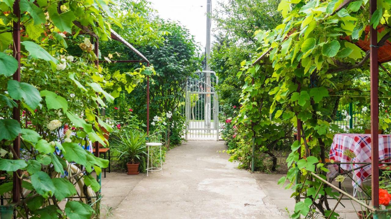 فيلا Casa Din Gradina إيفوري سود المظهر الخارجي الصورة